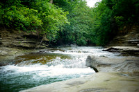 DSC04890